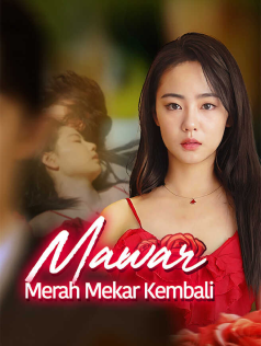 Mawar Merah Mekar Kembali