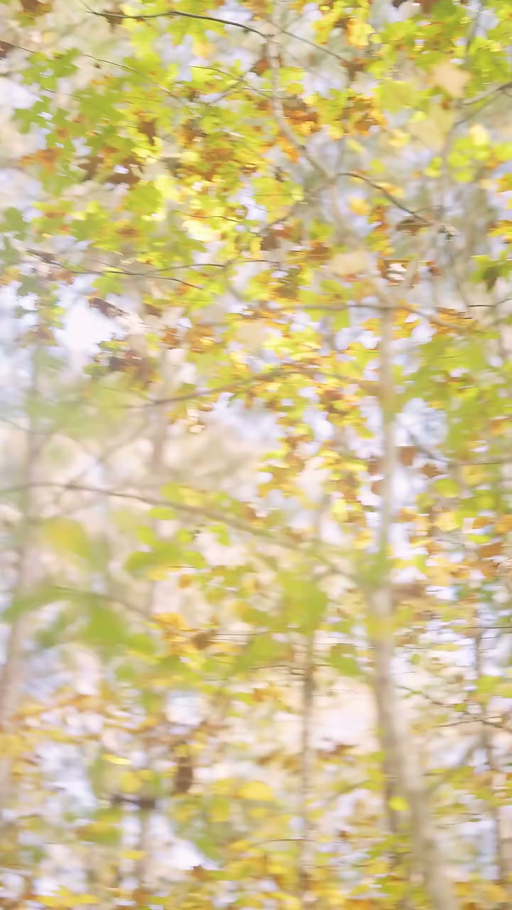 Épisode 20 - Mon Alpha, je te soignerai chaque nuit