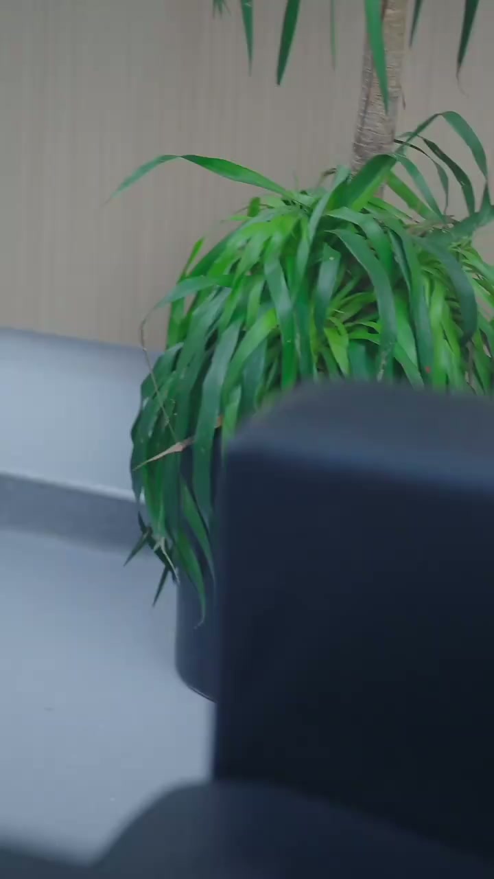 Episode 3 - Tricked To Be a Maid, My CEO Husband Forgot Me