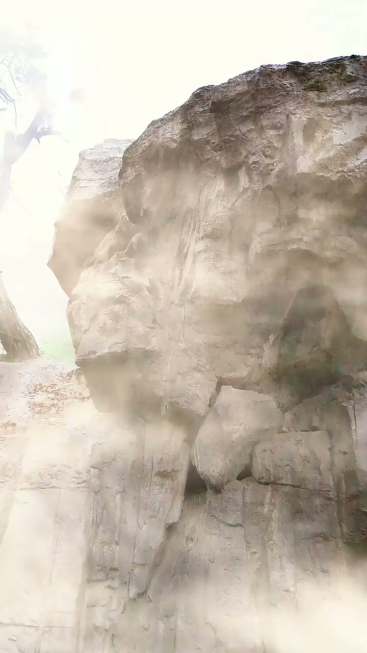 第1集 - 偷聽心聲後，豪門全家寵我