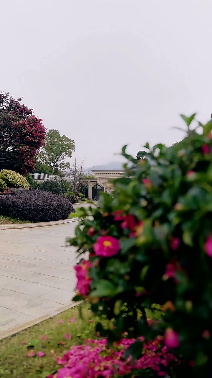 第1話 - ลูกสาวที่หายไป