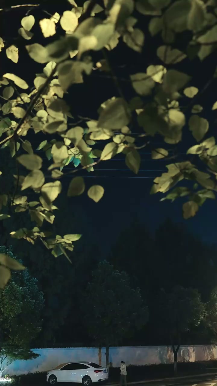 第4話 - 裏切りの家族、殺された私 ～再生の逆襲～