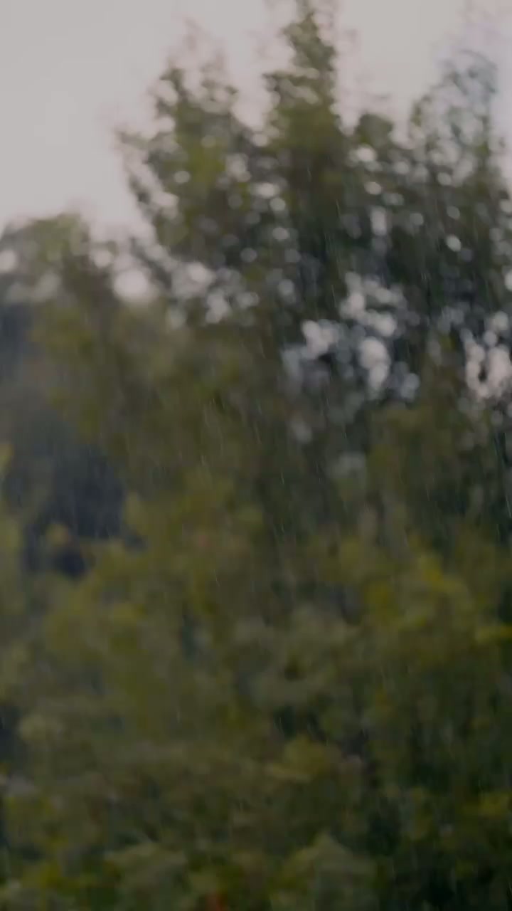 Episode 19 - Modern Emperor Who Speaks English