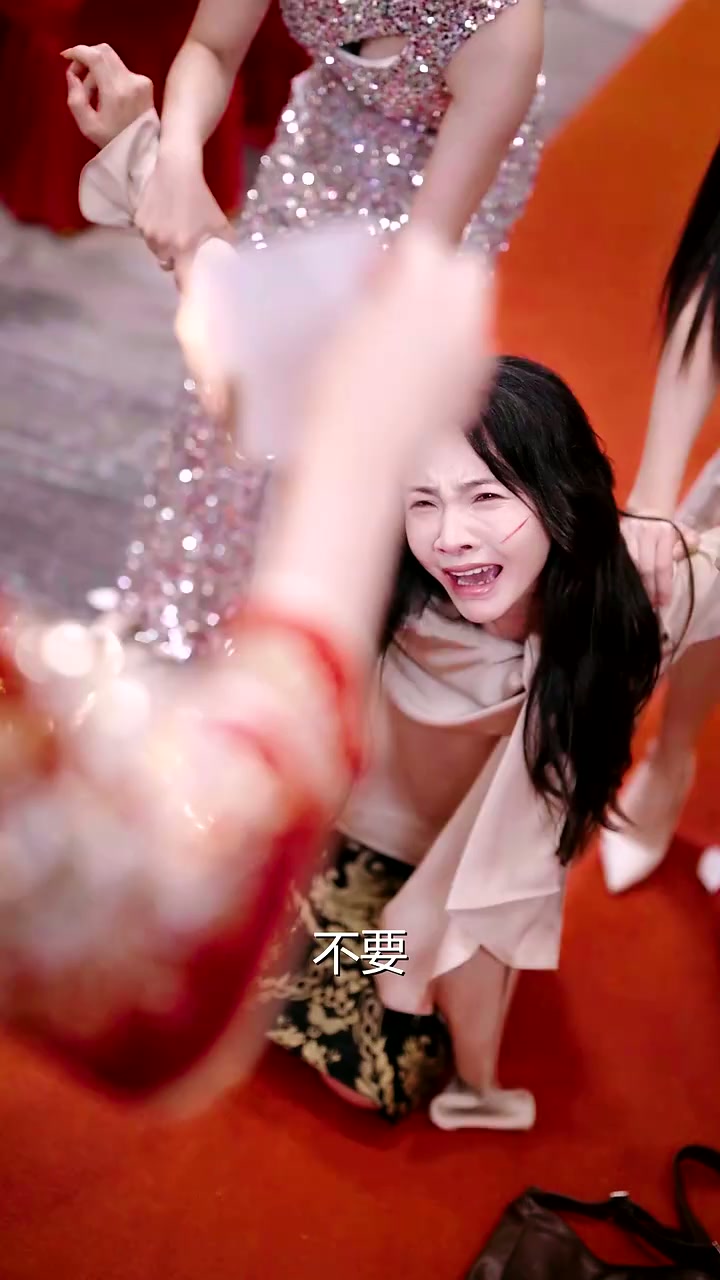 第11集 - 袋中人生：真相的代價