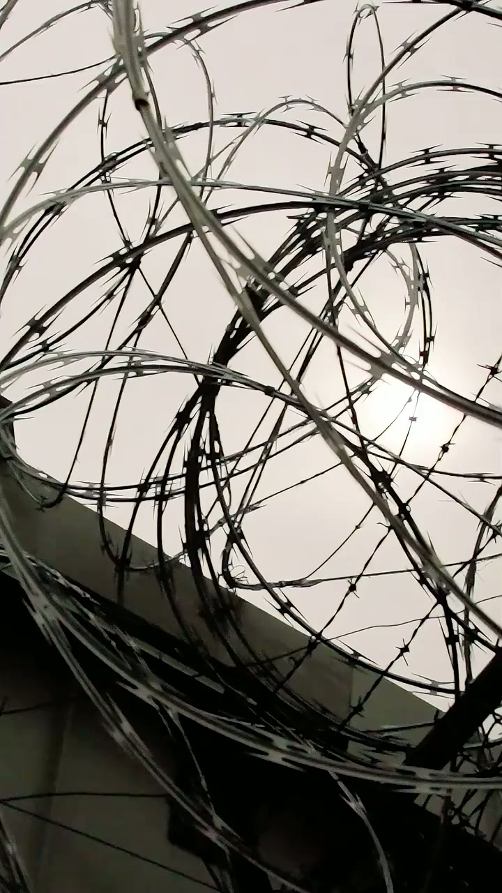 Episódio 1 - Atenção, a Senhora Guarda-costas chegou