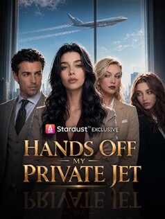Hands Off My Private Jet